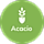 Acacio WordPress Theme