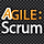 Agile Scrum - Project Issue Management