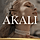 Akali WordPress Theme
