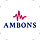 Ambons WordPress Theme