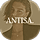 Antisa WordPress Theme