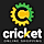 Ap Cricket Shopify Theme