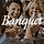 Banquet WordPress Theme