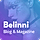 Belinni WordPress Theme
