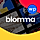 Blomma WordPress Theme