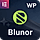Blunor WordPress Theme
