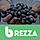 Brezza - Fruit Store Multipurpose HTML Template
