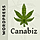 Canabiz WordPress Theme