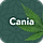 Cania WordPress Theme