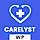 Carelyst WordPress Theme