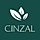 Cinzal WordPress Theme