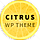 Citrus WordPress Theme