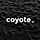 Coyote WordPress Theme
