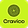 Cravico WordPress Theme