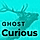 Curious - Blog and Magazine Ghost Theme