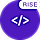 Custom JS plugin for RISE CRM