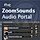 DZS Portal for ZoomSounds WordPress Plugin