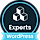 Experts WordPress Theme