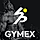 Gymex WordPress Theme