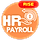 HR Payroll plugin for RISE CRM