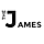 James - Responsive Shoes Shopify Theme - Sectioned