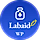 labaid WordPress Theme