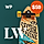 Lewis WordPress Theme
