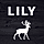 Lily WordPress Theme