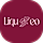 Liqueo - Wine Shop & Liquor Store Shopify OS 2.0 Theme