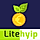 LiteHYIP - Simple HYIP Investment Platform