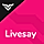 Livesay WordPress Theme