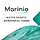 Marinio WordPress Theme