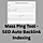 Mass Ping Tool - Bulk URL Submission & SEO Indexing Software