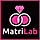 MatriLab - Ultimate Matchmaking Matrimony Platform