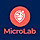 MicroLab - Micro Job Freelancing Platform