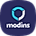 Modins WordPress Theme