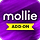 Mollie Payment Gateway for GoStock