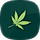 Narioz - Cannabis & Marijuana PHP Template