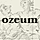 Ozeum WordPress Theme