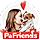 PawFriends WordPress Theme