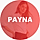 Payna WordPress Theme