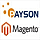 Payson Payment Integration Magneto 2