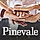 Pinevale WordPress Theme