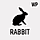 Rabbit WordPress Theme