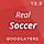 Real Soccer WordPress Theme