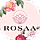 Rosaa WordPress Theme
