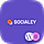 Socialey - Social Media Management Agency Elementor Template Kit