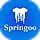 Springoo WordPress Theme