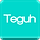 Teguh - Easy to Use Responsive Landing Page