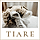 Tiare WordPress Theme